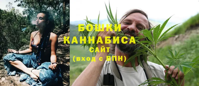 Бошки марихуана Ganja  где купить наркотик  Карасук 